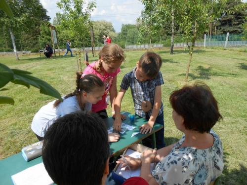 Term ism vetélkedő