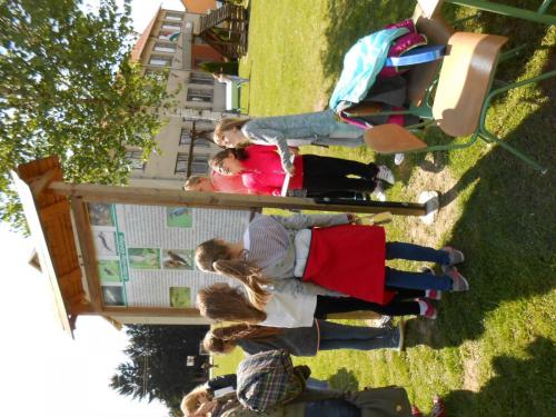 term ism vetélkedő4