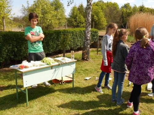 term ism vetélkedő7