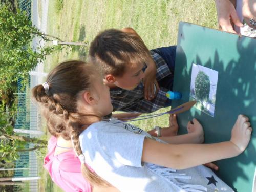 Feladatot oldanak az Őriszentpéteri diákok